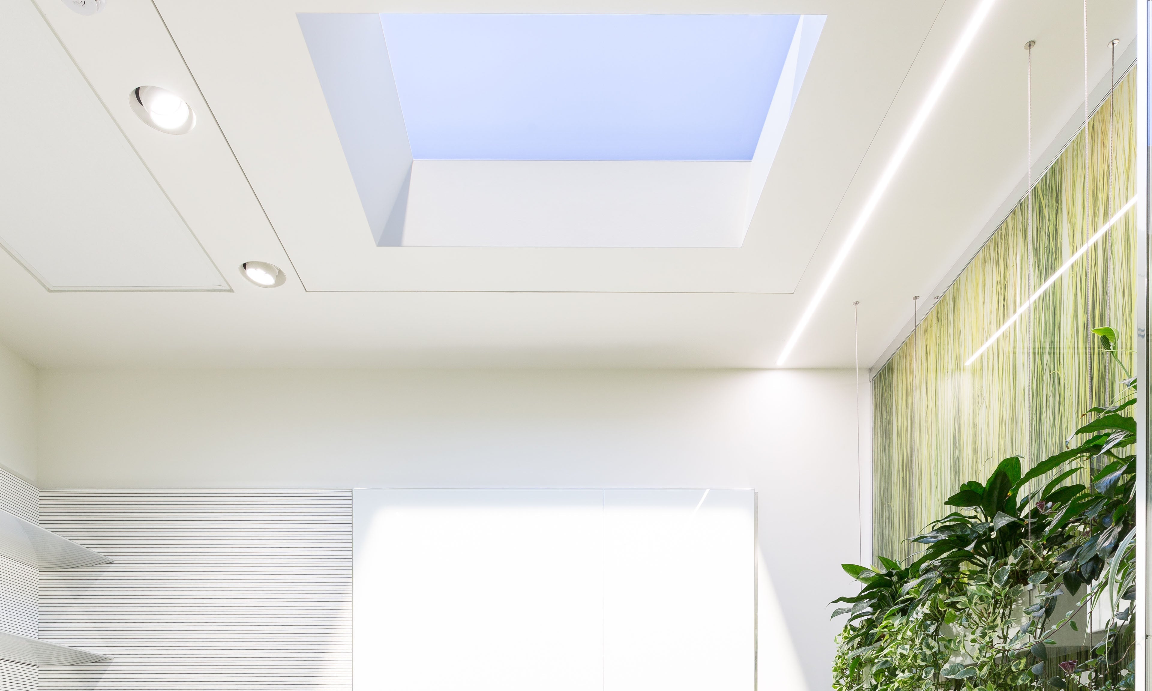 CoeLux® 45 LC