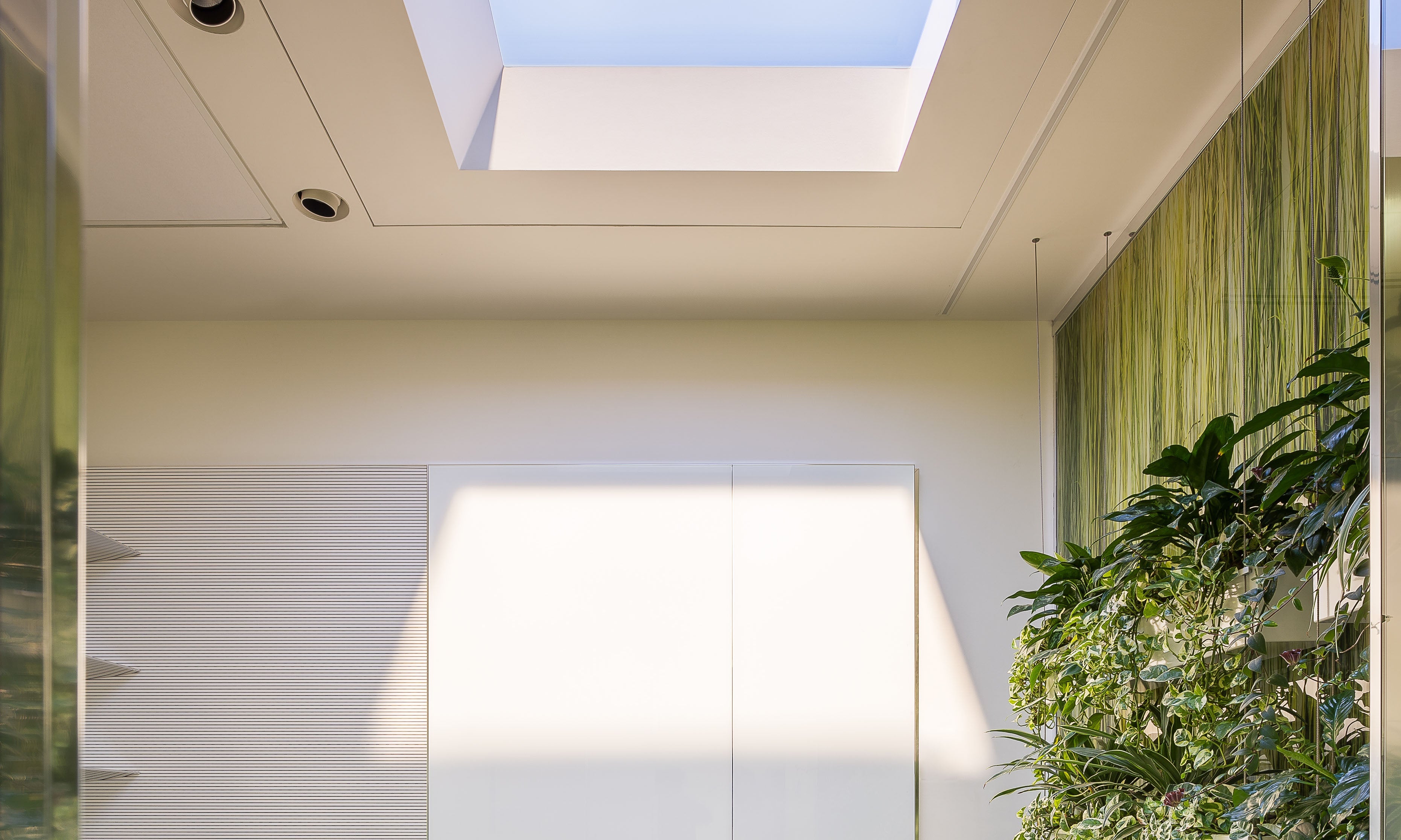 CoeLux® 45 LC