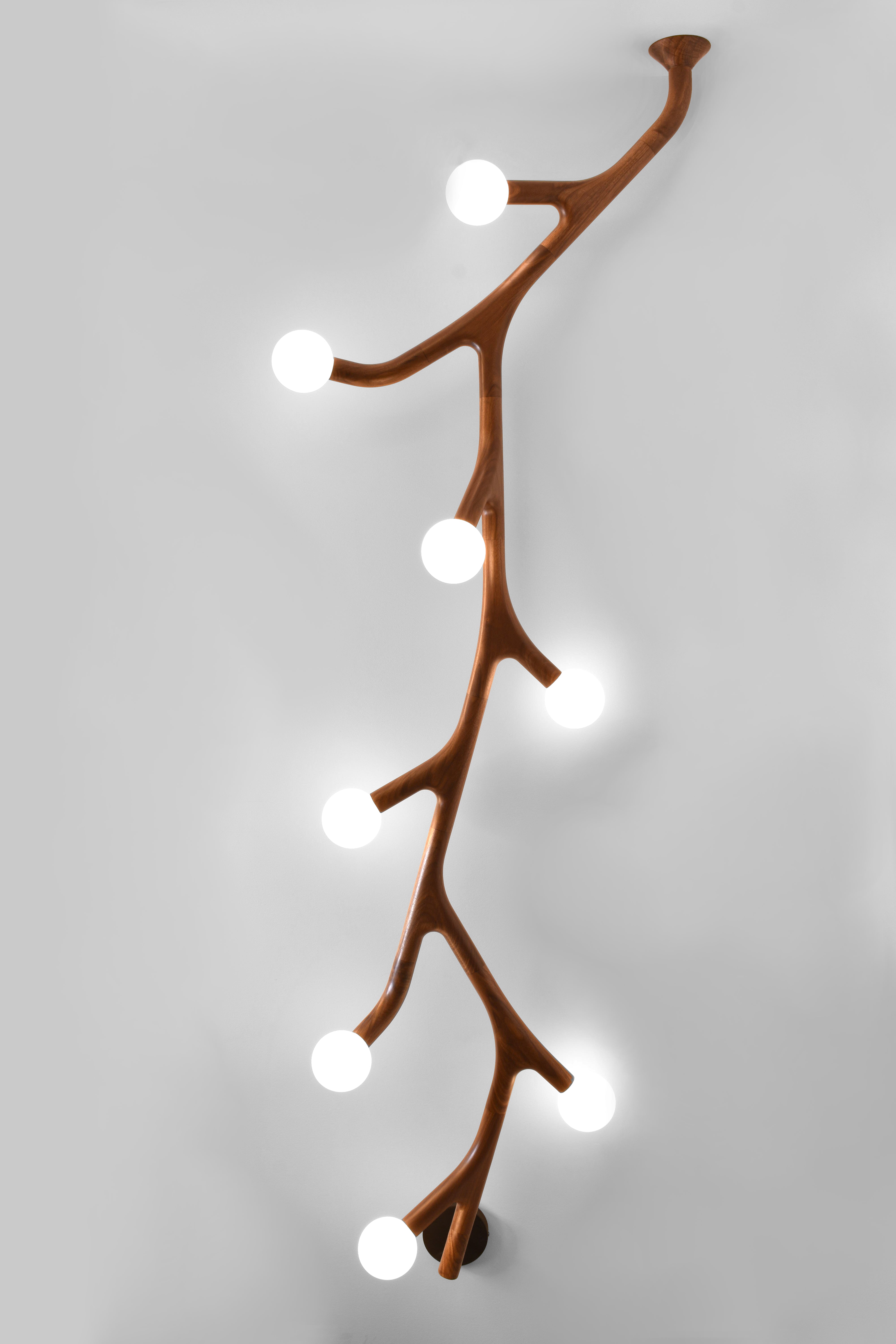ArborLux Wall/Ceiling