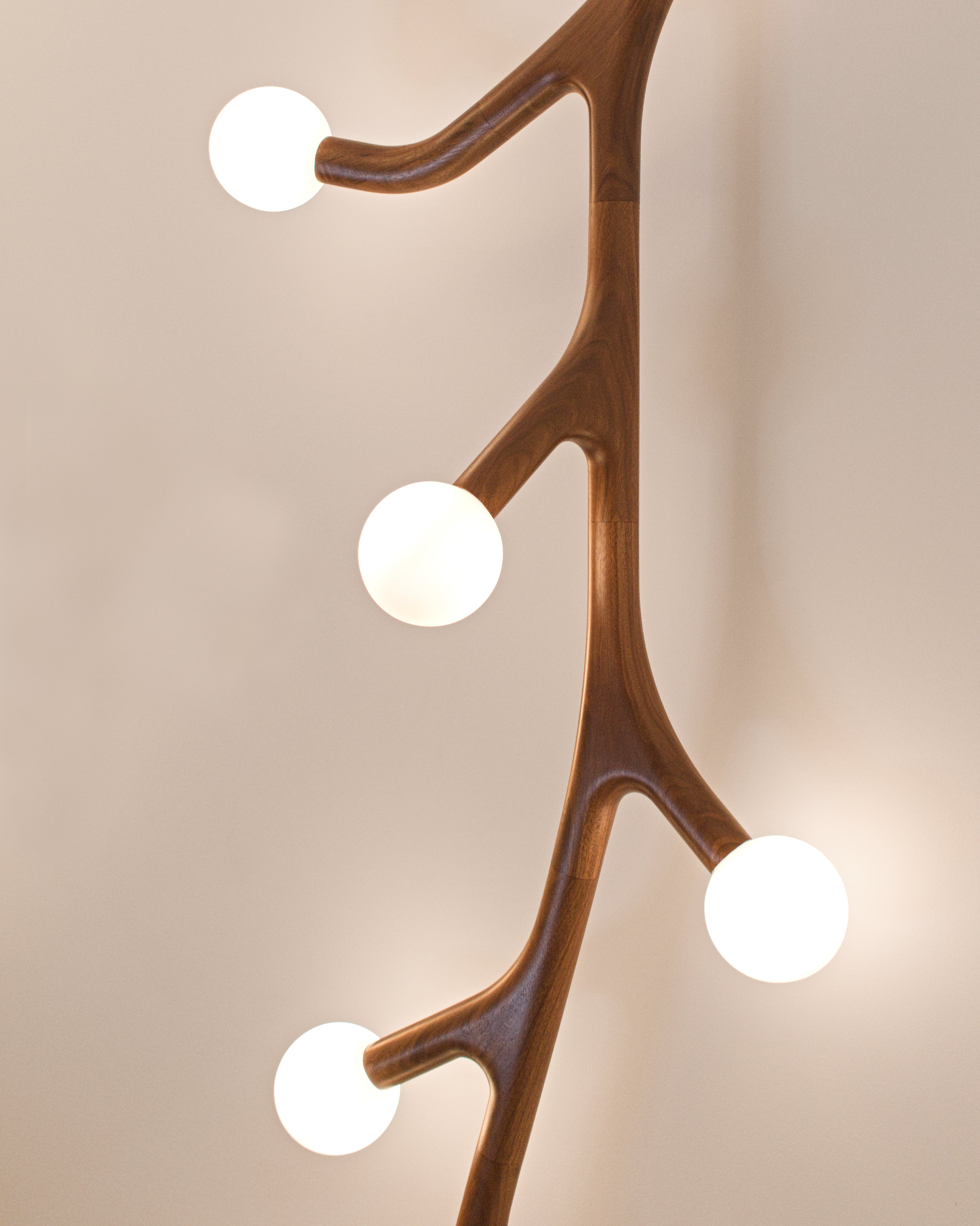 ArborLux Wall/Ceiling