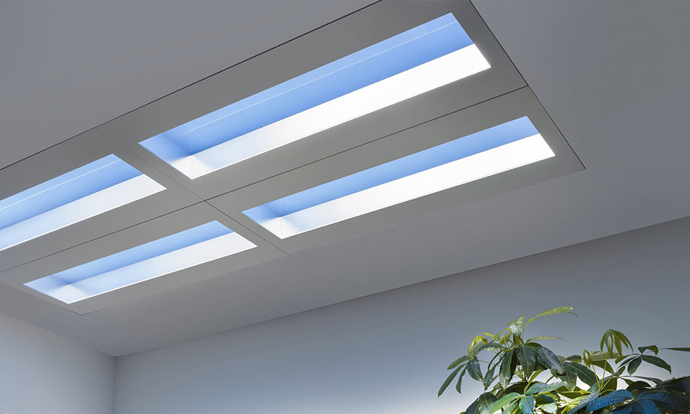 CoeLux® LS ICE