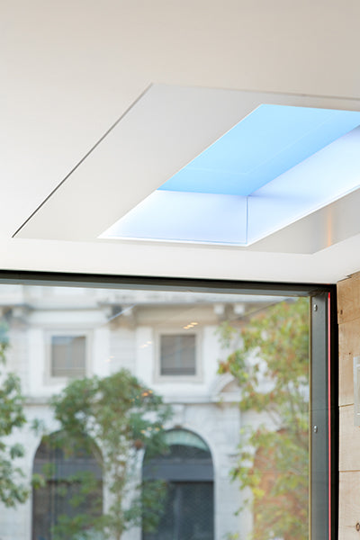 CoeLux® LS ICE