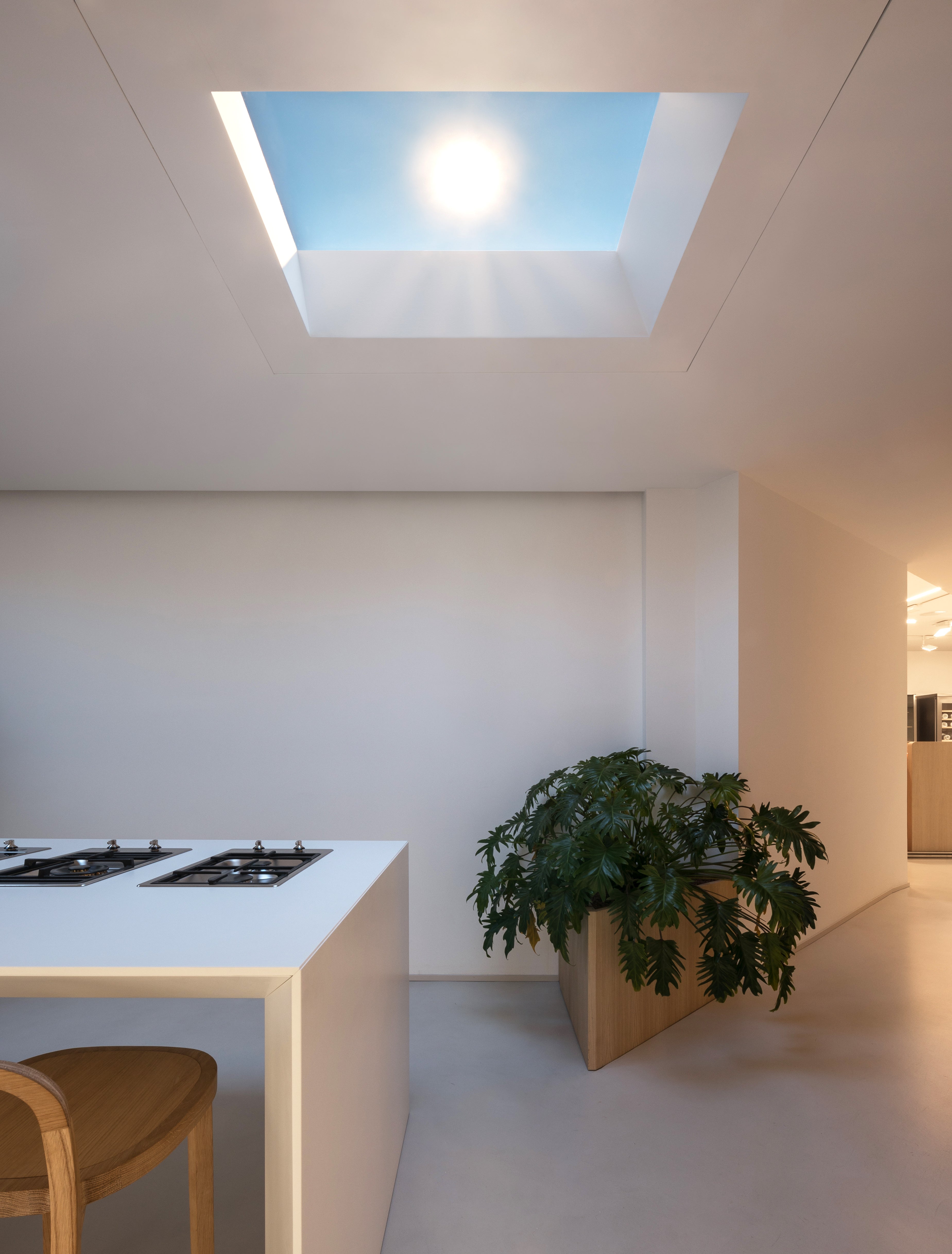 CoeLux® 45 LC